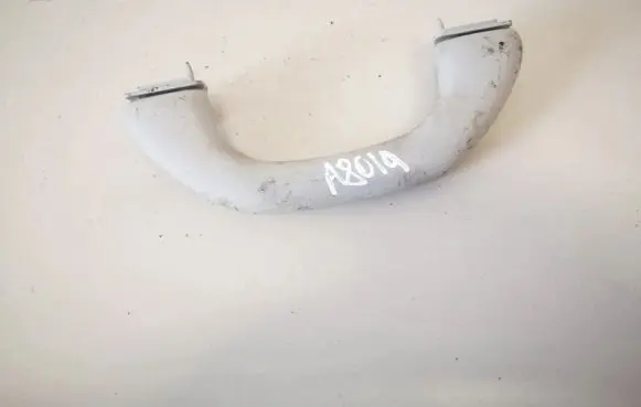 Front interior roof grab handle