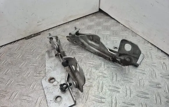 Engine bonnet/hood hinges