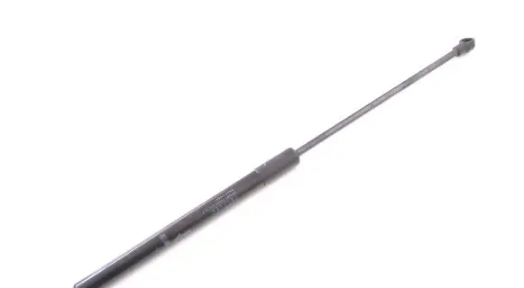 Tailgate/trunk strut/damper