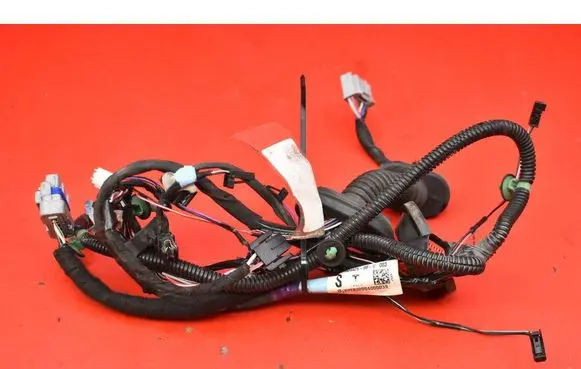 Other wiring loom