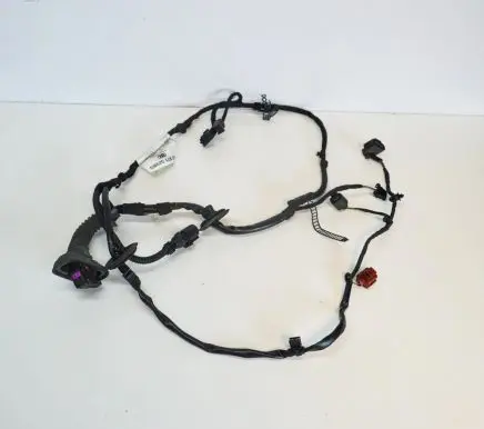 Audi A8 S8 D3 4E Front door wiring loom 4E0971029BS