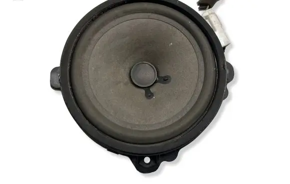 Chevrolet Captiva Front door speaker 25907866