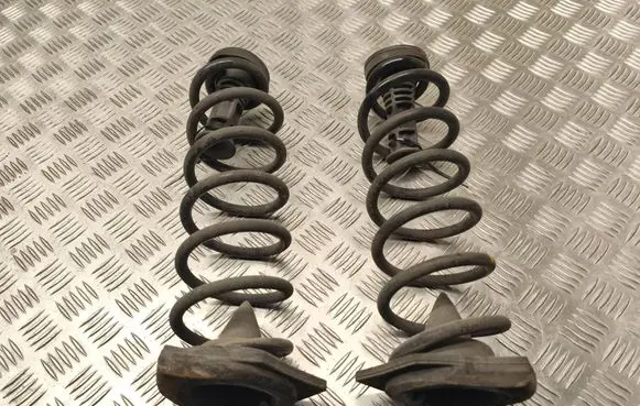 Renault Megane III Rear coil spring 