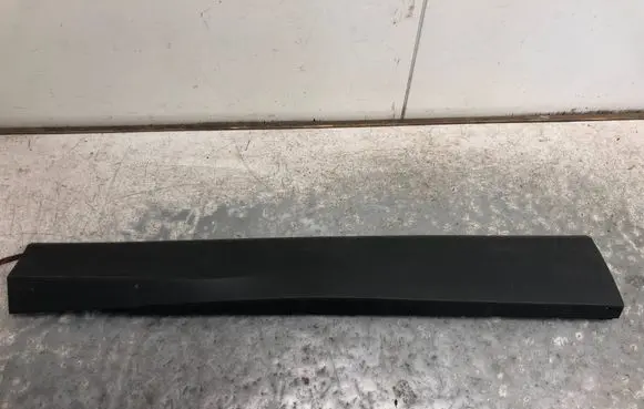 Volkswagen Tiguan Front door trim (molding) 571854939CBILI 571854939C