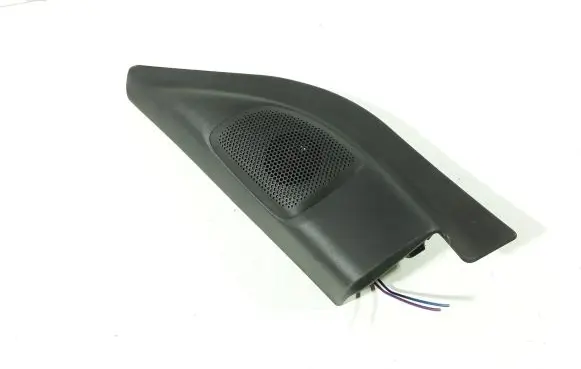 Front door high frequency speaker