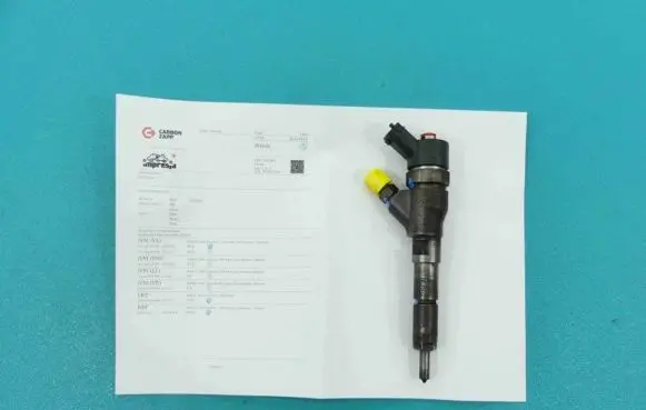 Peugeot Partner Fuel injector 0445110062 IMPRK1317826