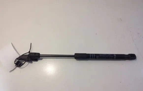 BMW 6 F06 Gran coupe Front bonnet/hood damper/strut 7309117 51237309117
