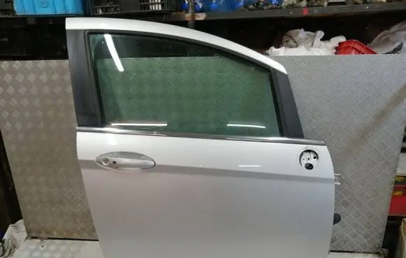 Ford B-MAX Front door