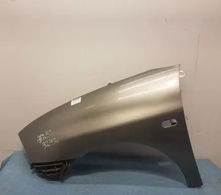 Seat Ibiza III (6L) Fender