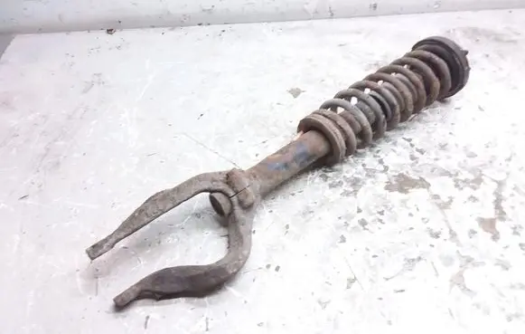 Honda Accord Front shock absorber with coil spring