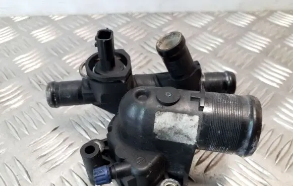 Thermostat/thermostat housing