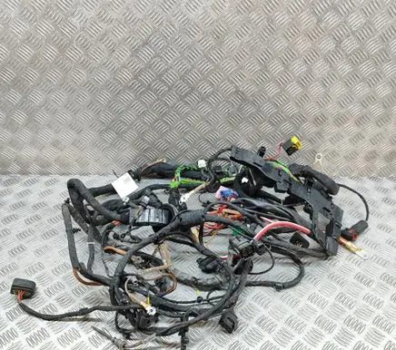 Mercedes-Benz C W206 Other wiring loom A2065400006