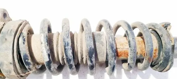 Rear coil spring