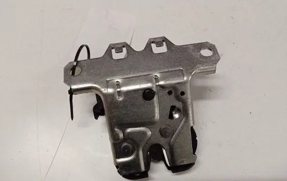 Opel Insignia A Tailgate/trunk/boot lock/catch/latch 20969620 495072894
