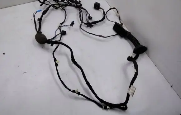 BMW X3 G01 Front door wiring loom 9221028 8792350