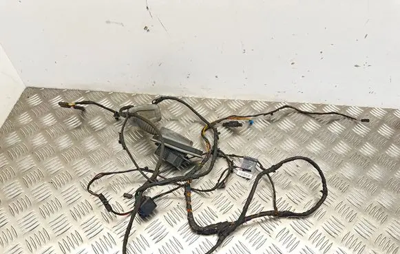 BMW 5 F10 F11 Rear door wiring loom 9240897 25082010 EGB55Z
