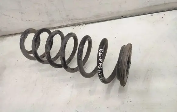 Volkswagen PASSAT B6 Rear coil spring