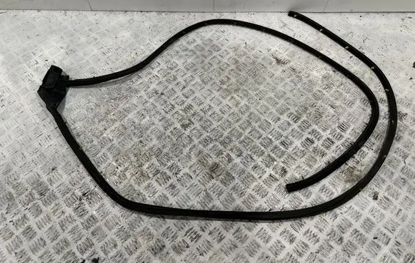 Chevrolet Corvette C8 Front door rubber seal 246649263