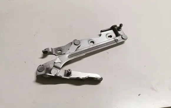 Ford Mustang V Tailgate/trunk/boot hinge E816K024N2A