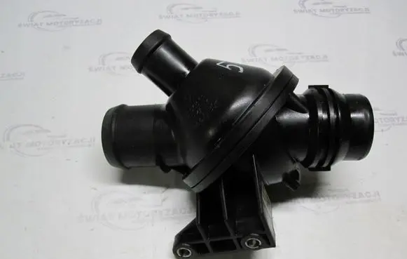 Thermostat/thermostat housing