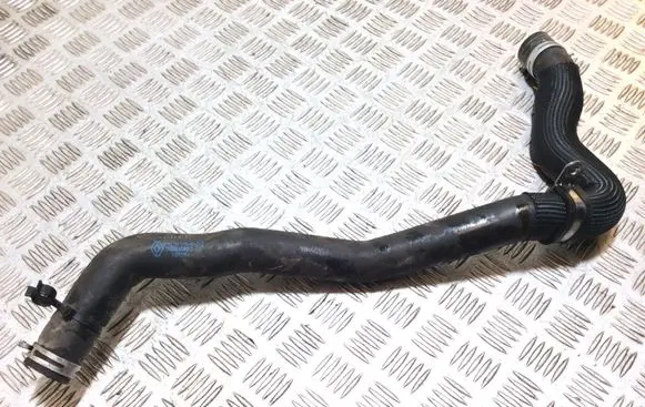 Renault Laguna III Engine coolant pipe/hose 215010012N