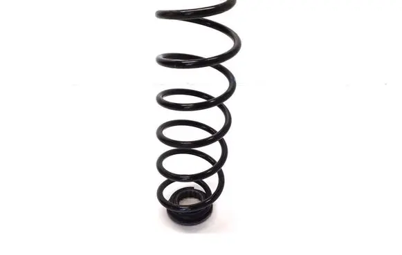 Peugeot 208 Rear coil spring 9836890080