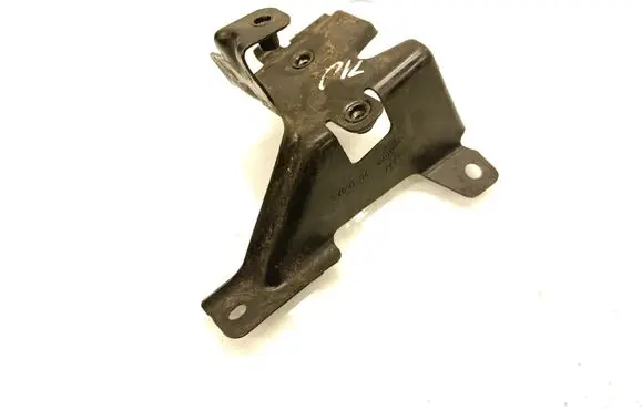Engine bonnet/hood lock trim molding