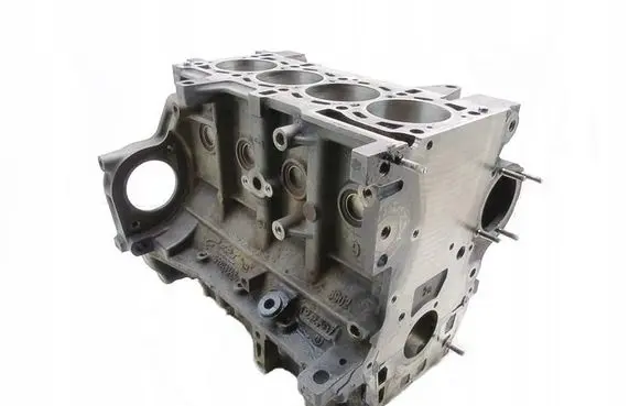 Fiat Doblo Engine block 55203242