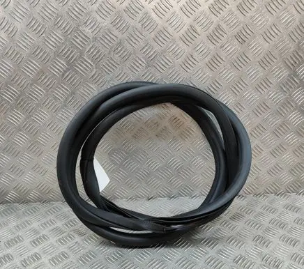 Dacia Sandero Rubber seal front coupe door A0997270300