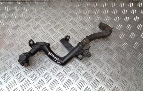 Citroen Berlingo Engine coolant pipe/hose