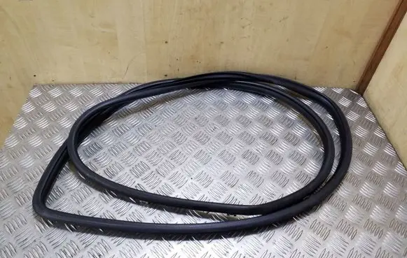 Lexus RX 330 - 350 - 400H Front door rubber seal