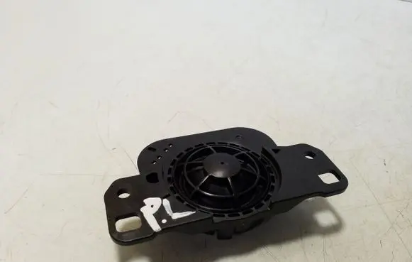 Front door high frequency speaker