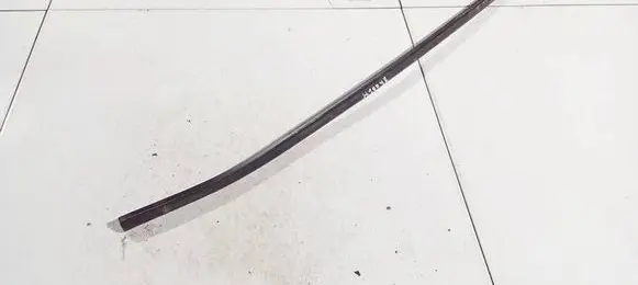 Ford C-MAX I Rubber seal front coupe door 