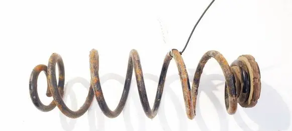 Rear coil spring