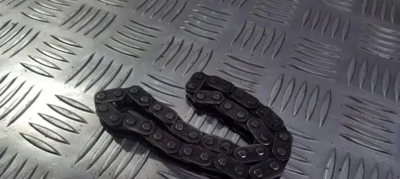 Citroen C8 Timing chain (engine) 