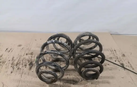 Volkswagen PASSAT B5 Rear coil spring
