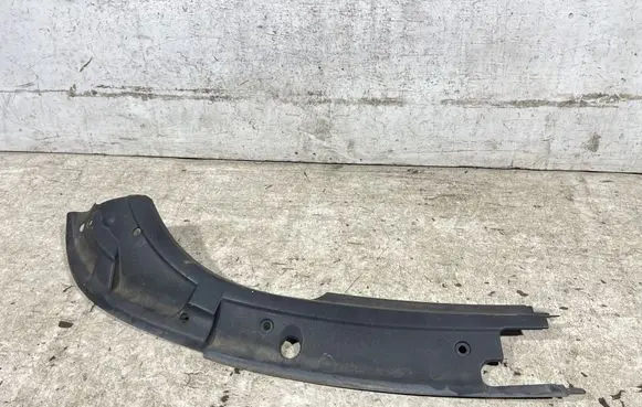Engine bonnet/hood lock trim molding