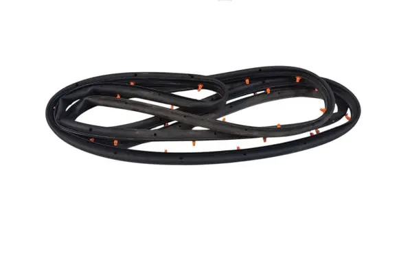 Ford Edge II Front door rubber seal DEK3D