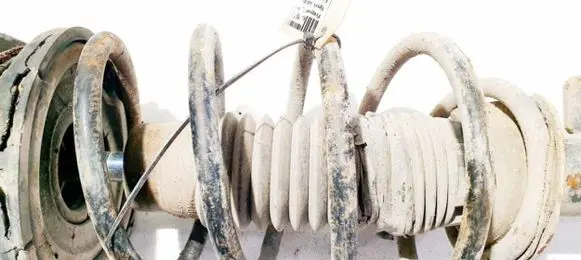 Peugeot 406 Front coil spring