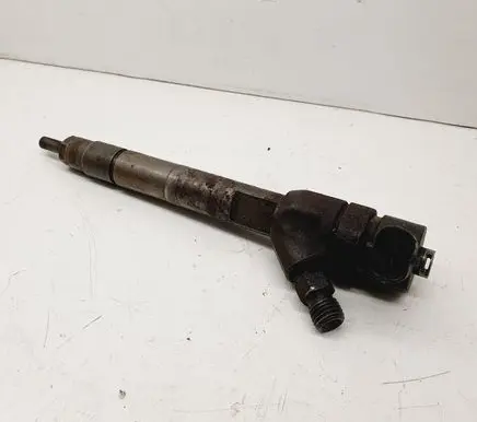 Volvo V70 Fuel injector 0445110018 16450RBDE01