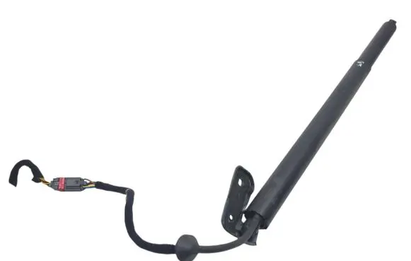 Tailgate strut