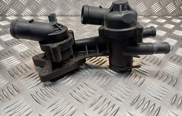 Thermostat/thermostat housing