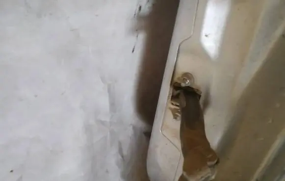Rear door check strap stopper