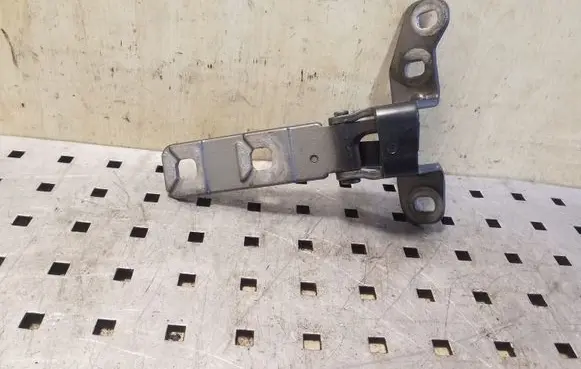 BMW X5 E70 Tailgate/trunk/boot hinge