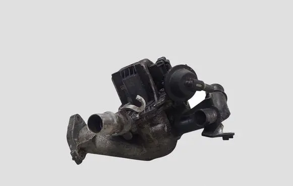 Citroen C3 EGR valve 505639