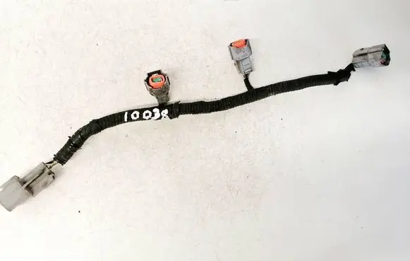 Other wiring loom