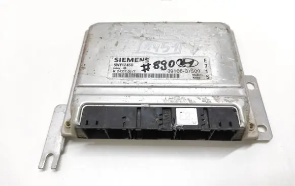 Hyundai Santa Fe Engine control unit/module 5WY1245D 3910837500