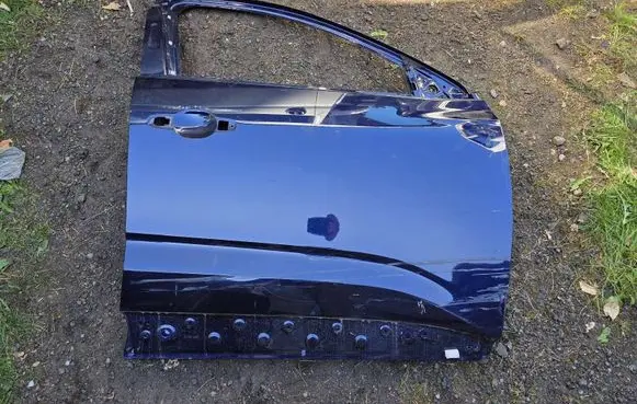 Renault Austral Front door 801126117R