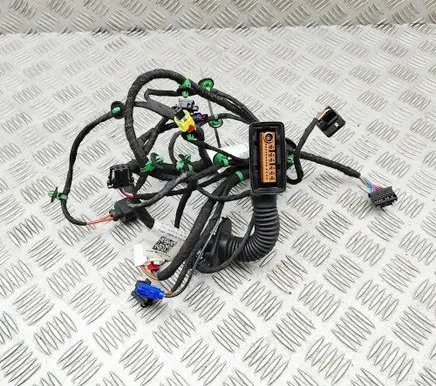 Audi E-tron GT Front door wiring loom 4J3971029G