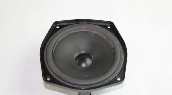 BMW Z4 E85 E86 Subwoofer speaker 6915839
